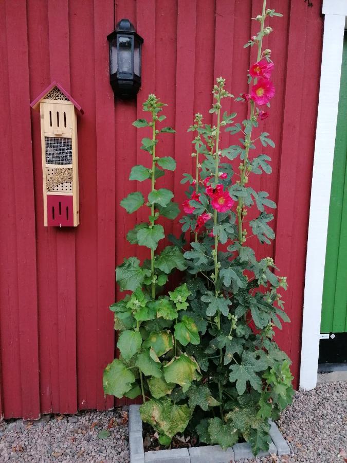 Naturnaera Charmigt Boende Helsingborg Luaran gambar